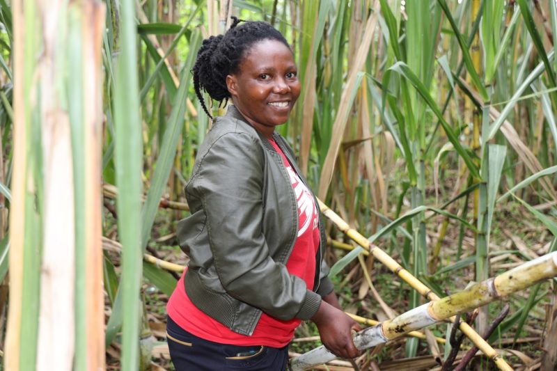 SILC loan story